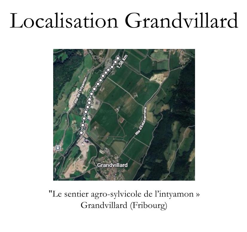 Parcours.jpeg